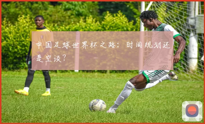中国足球世界杯之路:时间规划还是空谈?