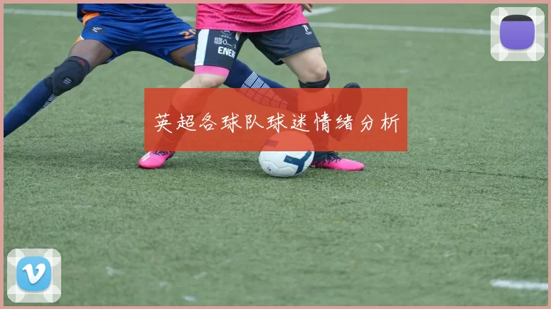 英超各球队球迷情绪分析