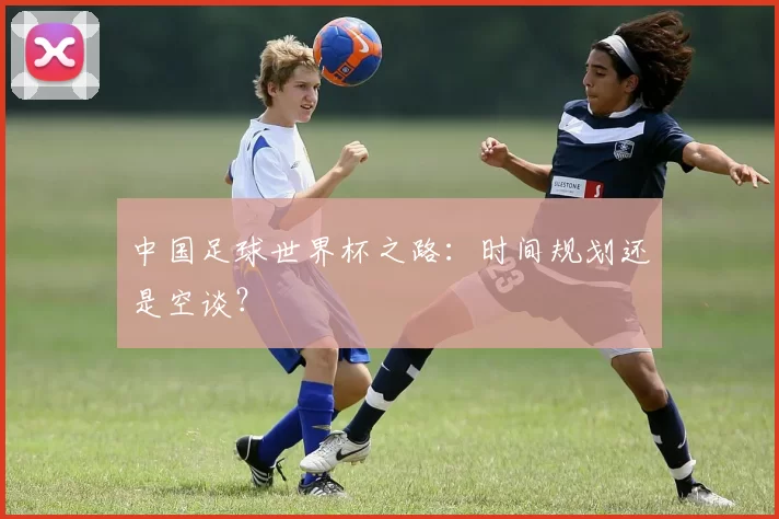 中国足球世界杯之路:时间规划还是空谈?