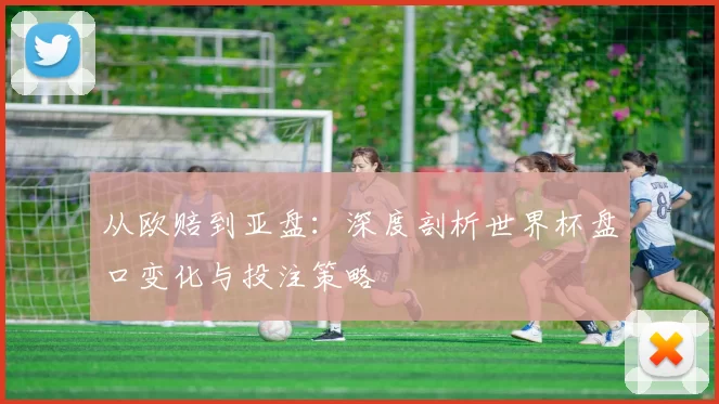 从欧赔到亚盘:深度剖析世界杯盘口变化与投注策略