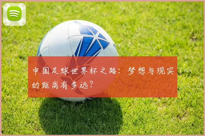 中国足球世界杯之路:梦想与现实的距离有多远?