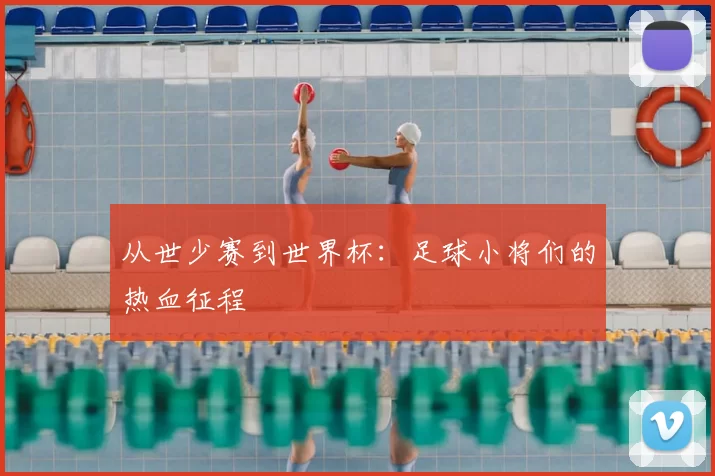 从世少赛到世界杯:足球小将们的热血征程