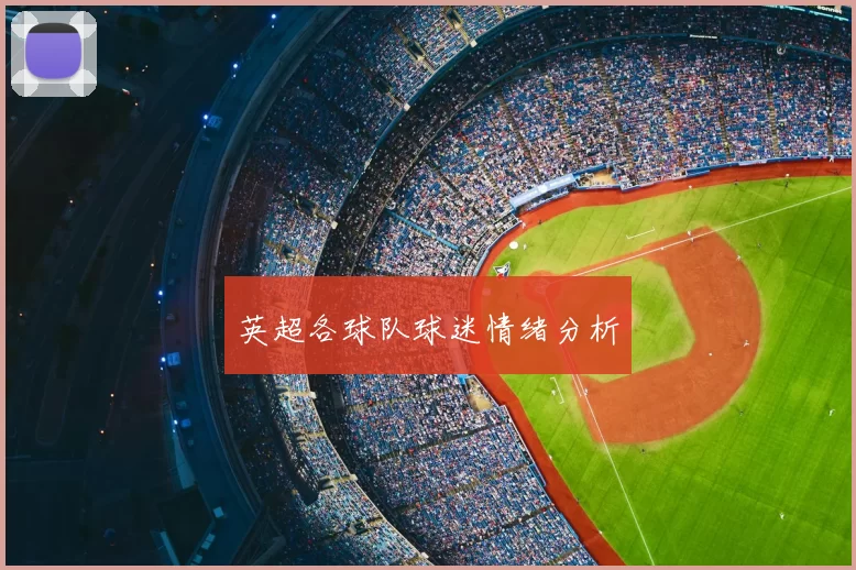 英超各球队球迷情绪分析