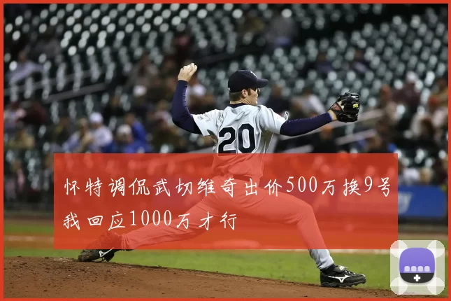 怀特调侃武切维奇出价500万换9号我回应1000万才行
