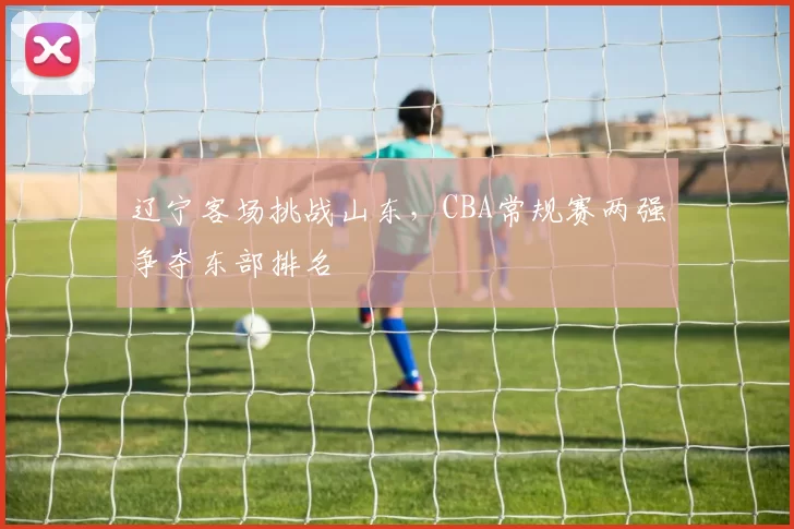 辽宁客场挑战山东,CBA常规赛两强争夺东部排名