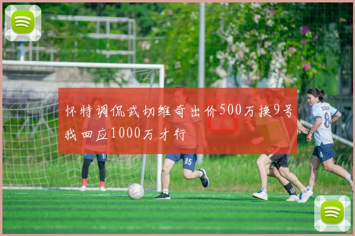 怀特调侃武切维奇出价500万换9号我回应1000万才行
