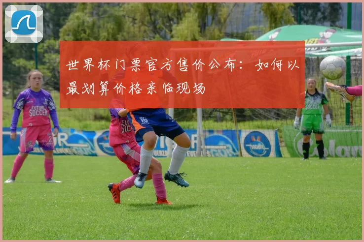 世界杯门票官方售价公布:如何以最划算价格亲临现场