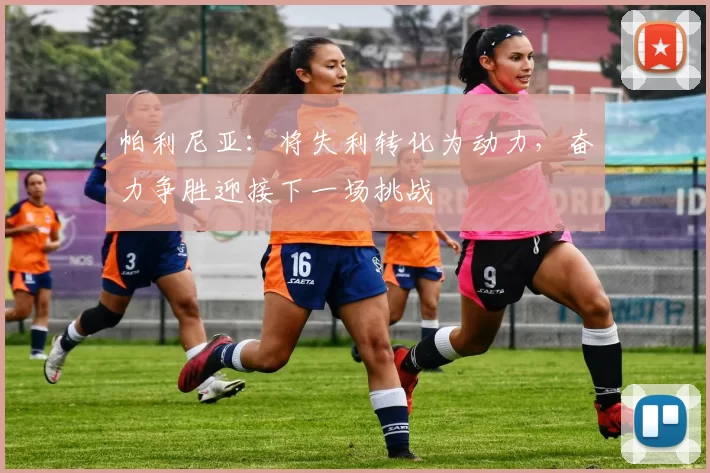 帕利尼亚:将失利转化为动力,奋力争胜迎接下一场挑战