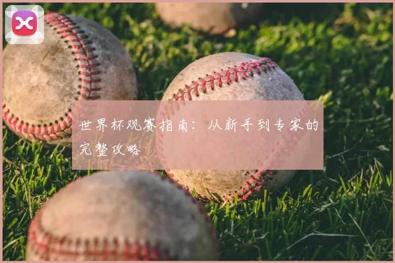 世界杯观赛指南:从新手到专家的完整攻略