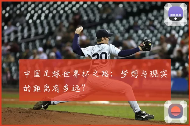 中国足球世界杯之路：梦想与现实的距离有多远？