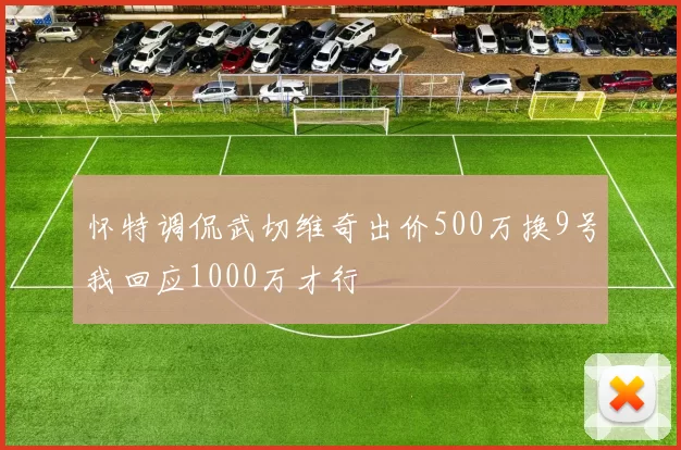 怀特调侃武切维奇出价500万换9号我回应1000万才行