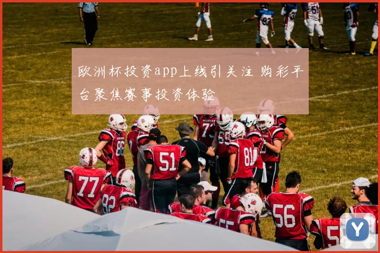 欧洲杯投资app上线引关注 购彩平台聚焦赛事投资体验