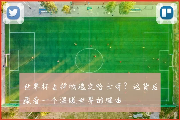 世界杯吉祥物选定哈士奇?这背后藏着一个温暖世界的理由