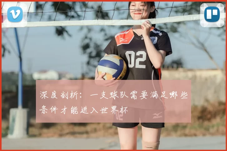 深度剖析：一支球队需要满足哪些条件才能进入世界杯