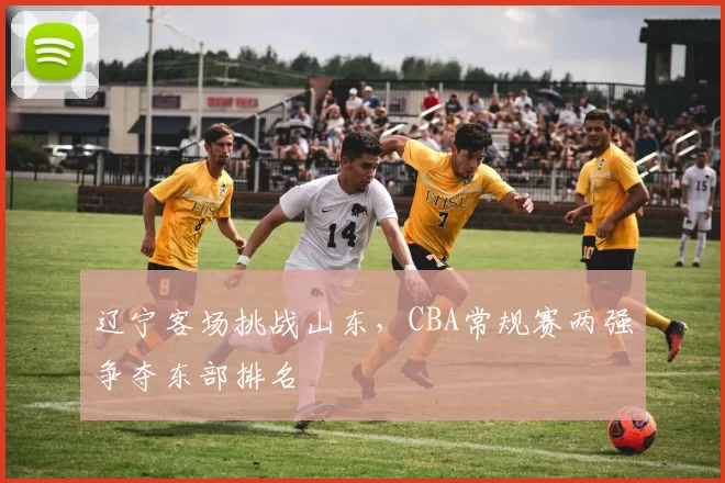 辽宁客场挑战山东，CBA常规赛两强争夺东部排名