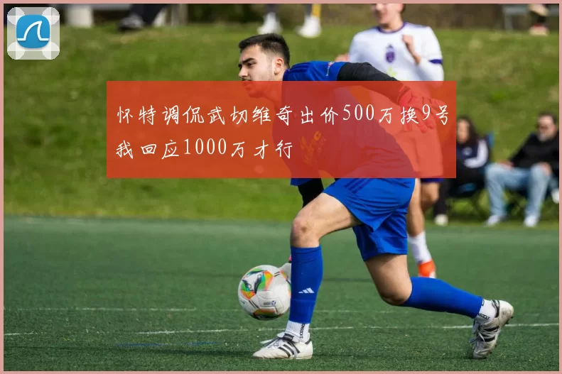 怀特调侃武切维奇出价500万换9号我回应1000万才行