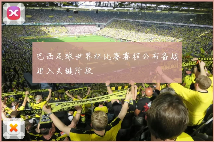 巴西足球世界杯比赛赛程公布备战进入关键阶段