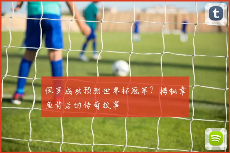 保罗成功预测世界杯冠军?揭秘章鱼背后的传奇故事
